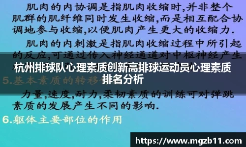 杭州排球队心理素质创新高排球运动员心理素质排名分析