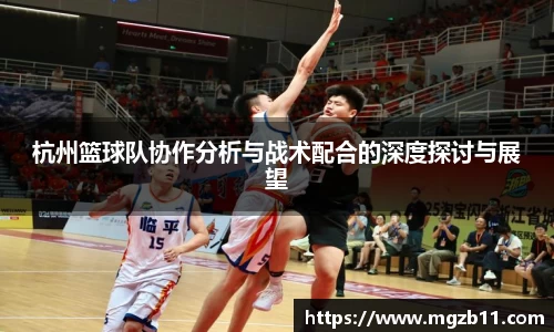 杭州篮球队协作分析与战术配合的深度探讨与展望