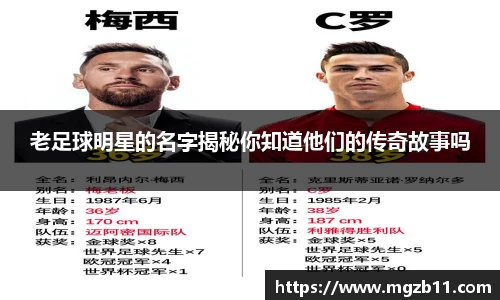 ob欧宝电竞平台